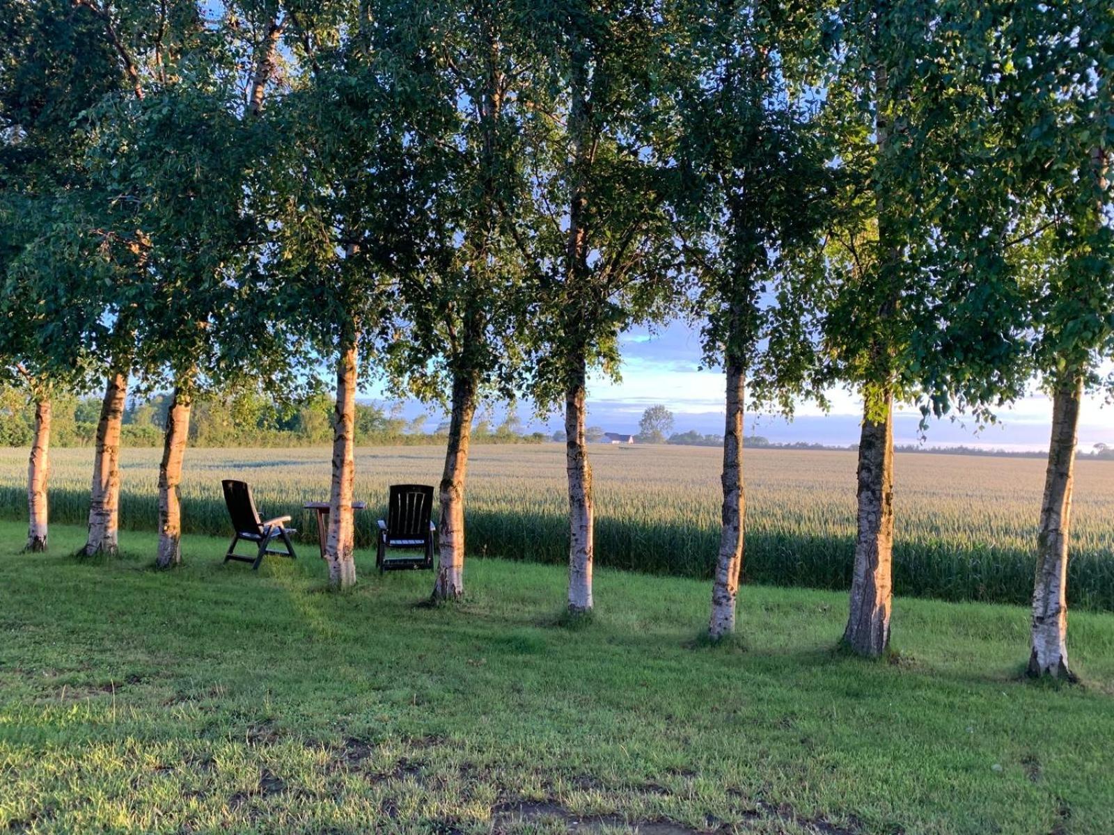 Stunning Romantic Cabin Close To Baltic See Idestrup Bagian luar foto